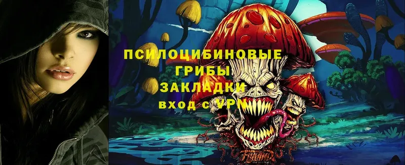 Галлюциногенные грибы Magic Shrooms  Кириши 